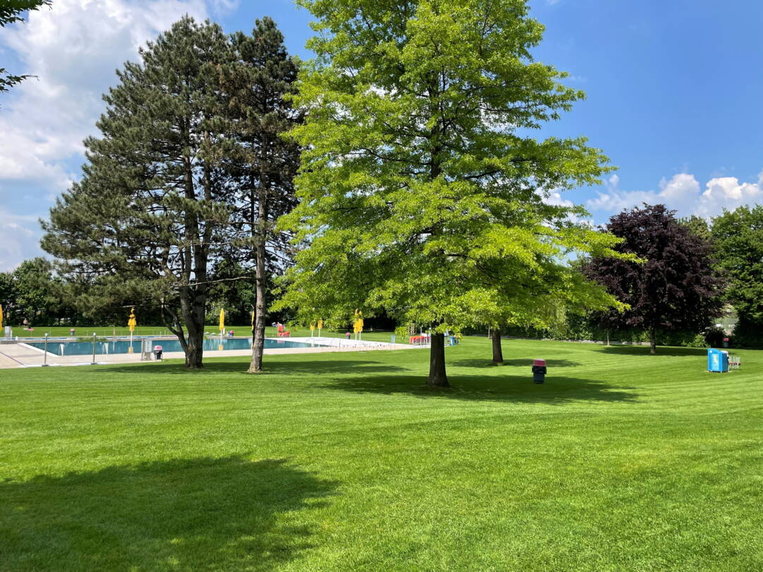 foto_freibad.jpg